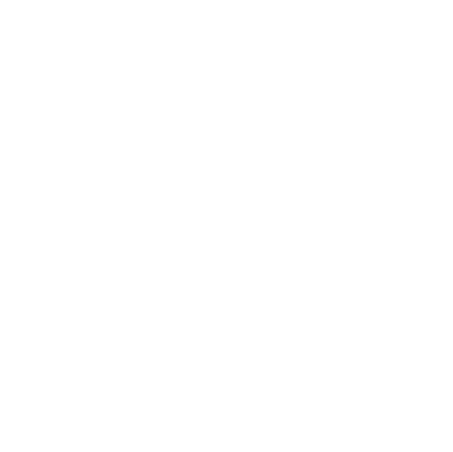 Social Sense Marketing Logo Icon