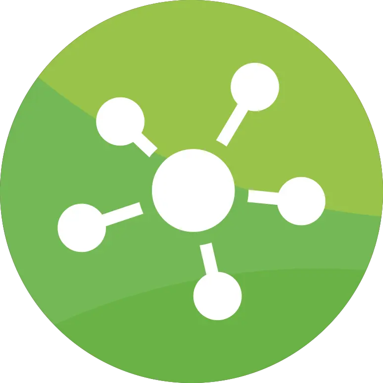 Social Media Management
